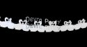 (image for) 12 Foot Tissue Paper Swan Garland, Vintage White (6 pcs)