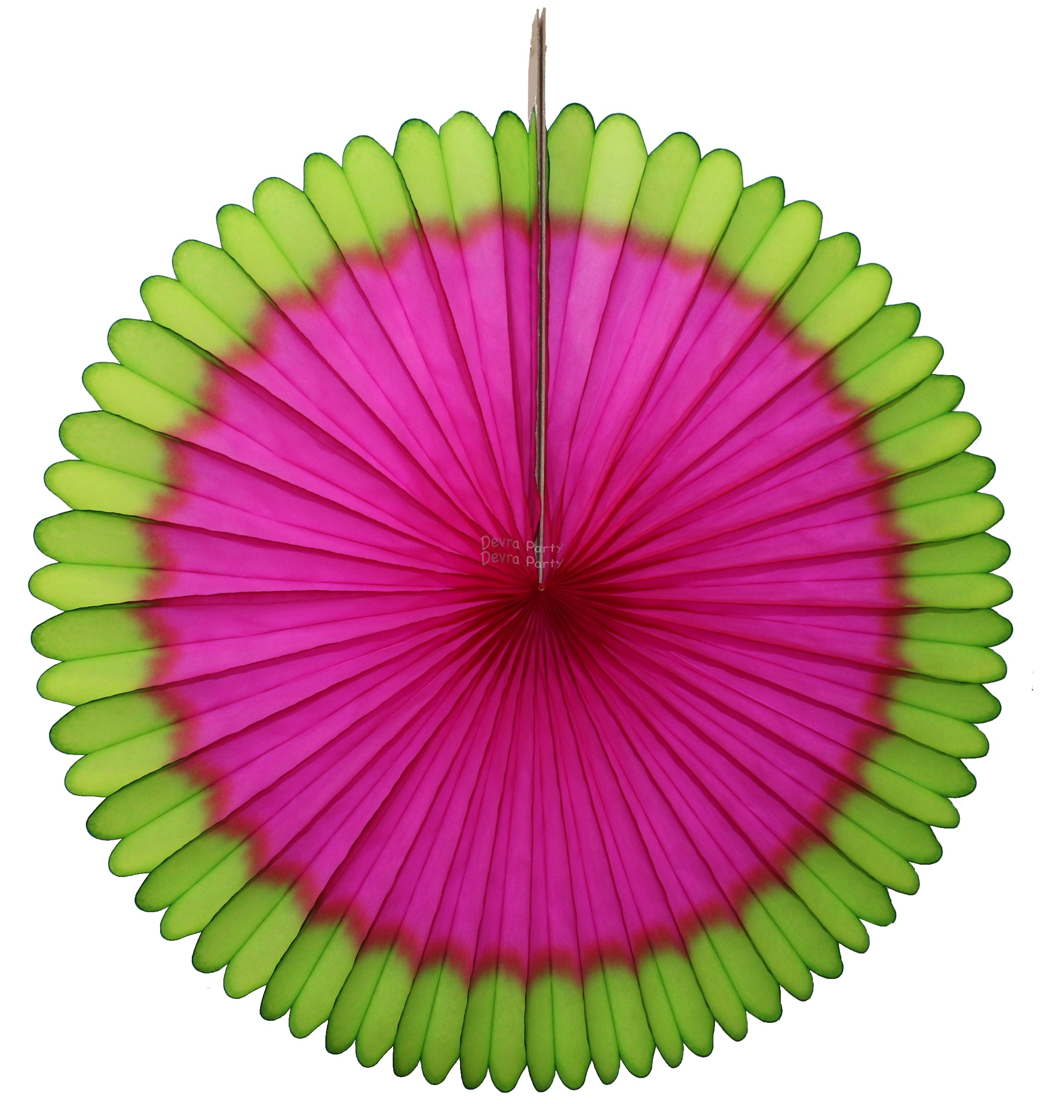 (image for) 13 Inch Fan Decorations Cerise and Lime (12 Pieces)