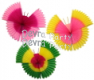 (image for) Assorted Colors