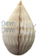 (image for) Vintage Ivory (French Vanilla)