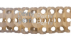 (image for) Ivory (Classic Ivory)