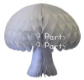 (image for) White