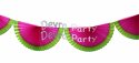 (image for) Cerise Lime Watermelon Themed 10 Ft Bunting Fan Garland (12 pcs)