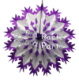(image for) Purple