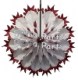 (image for) Maroon